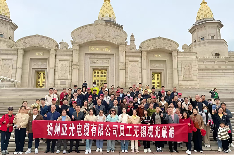 Yangzhou Yaguang Cable Co., Ltd.