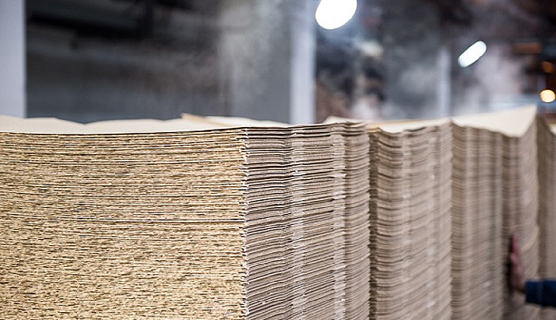 Projekt Shandong Rizhao Pulp